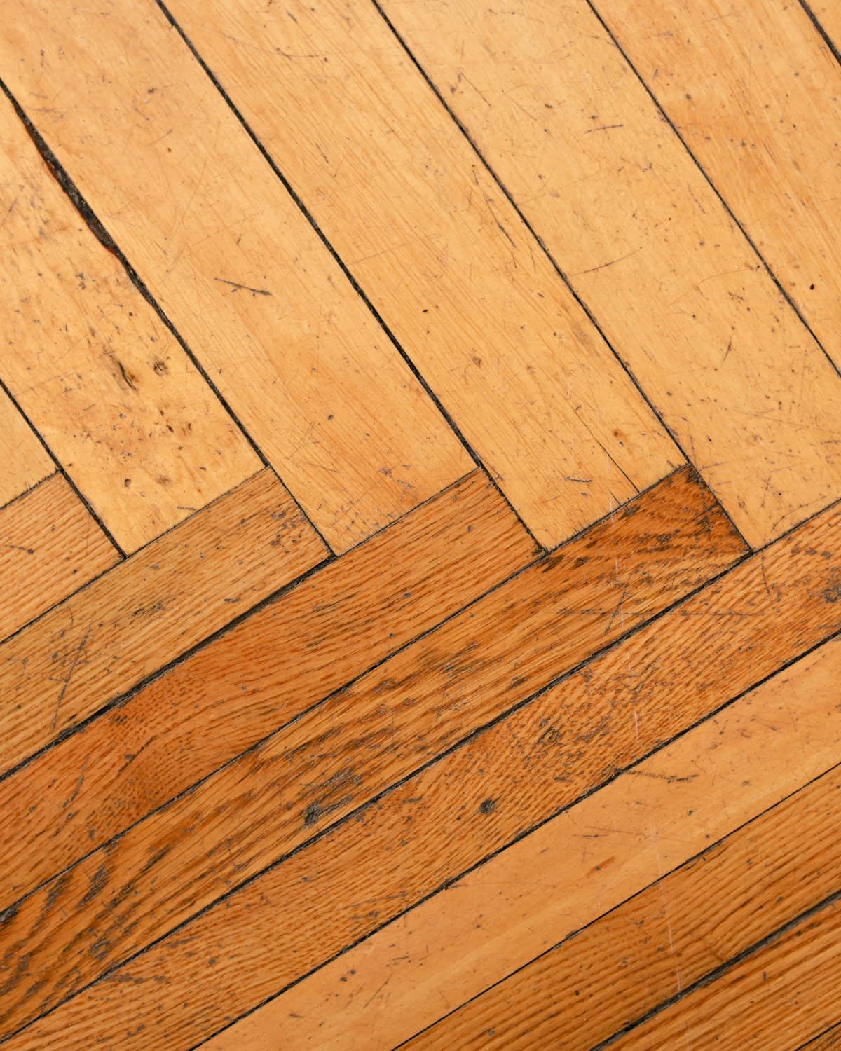 Atelier Veneer sample — Veneer
